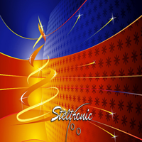 Steltronic Holidays